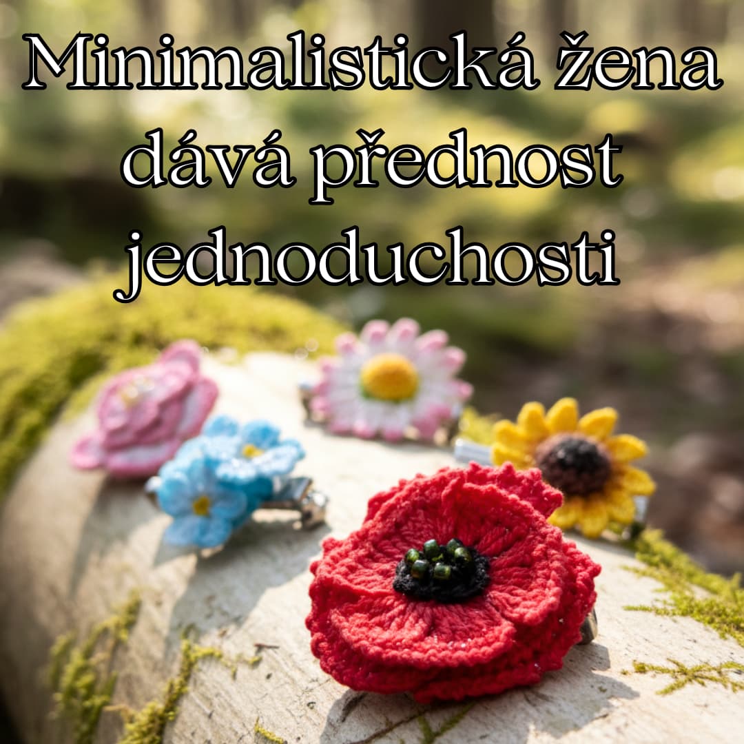 minimalista jednoduchost 254 (1)